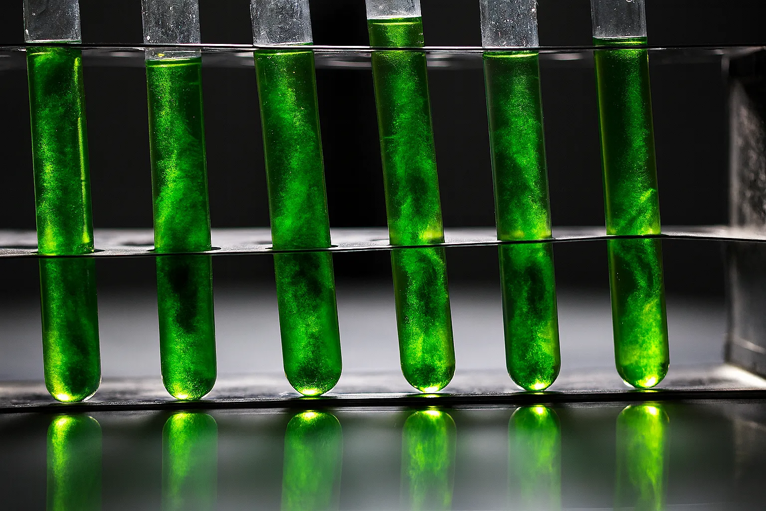 Can Medical Cannabis Heal Anxiety? What One Year Shows