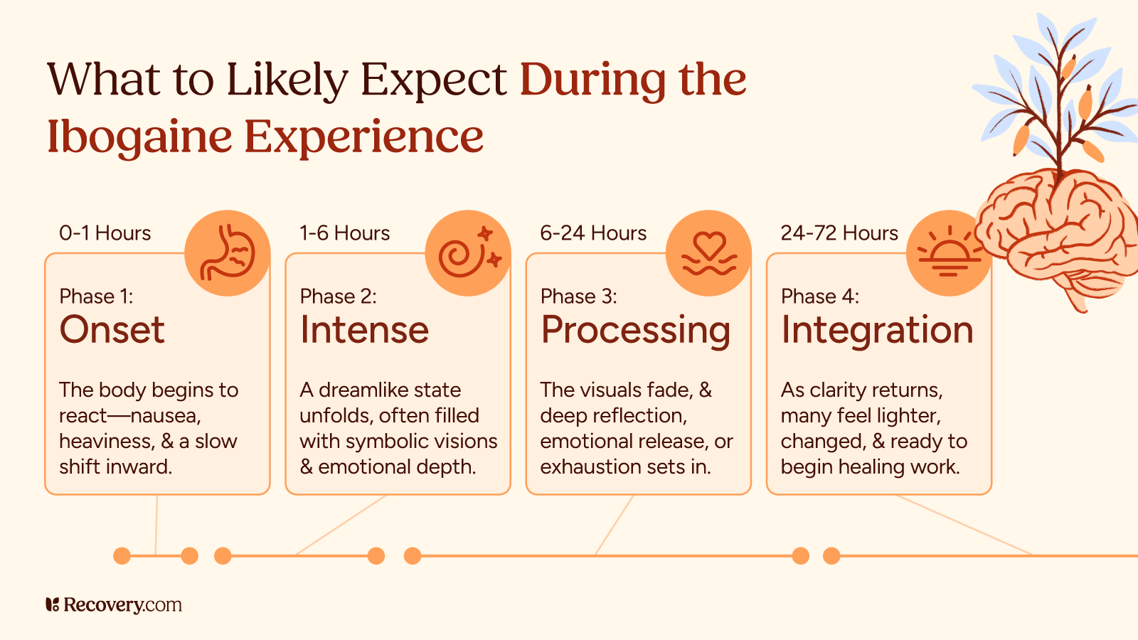 Infographic titled “What to Likely Expect During the Ibogaine Experience,” showing four phases: Onset (0–1 hours, nausea, heaviness), Intense (1–6 hours, dreamlike visions, emotional depth), Processing (6–24 hours, reflection, emotional release, exhaustion), and Integration (24–72 hours, clarity, feeling lighter, readiness to heal).