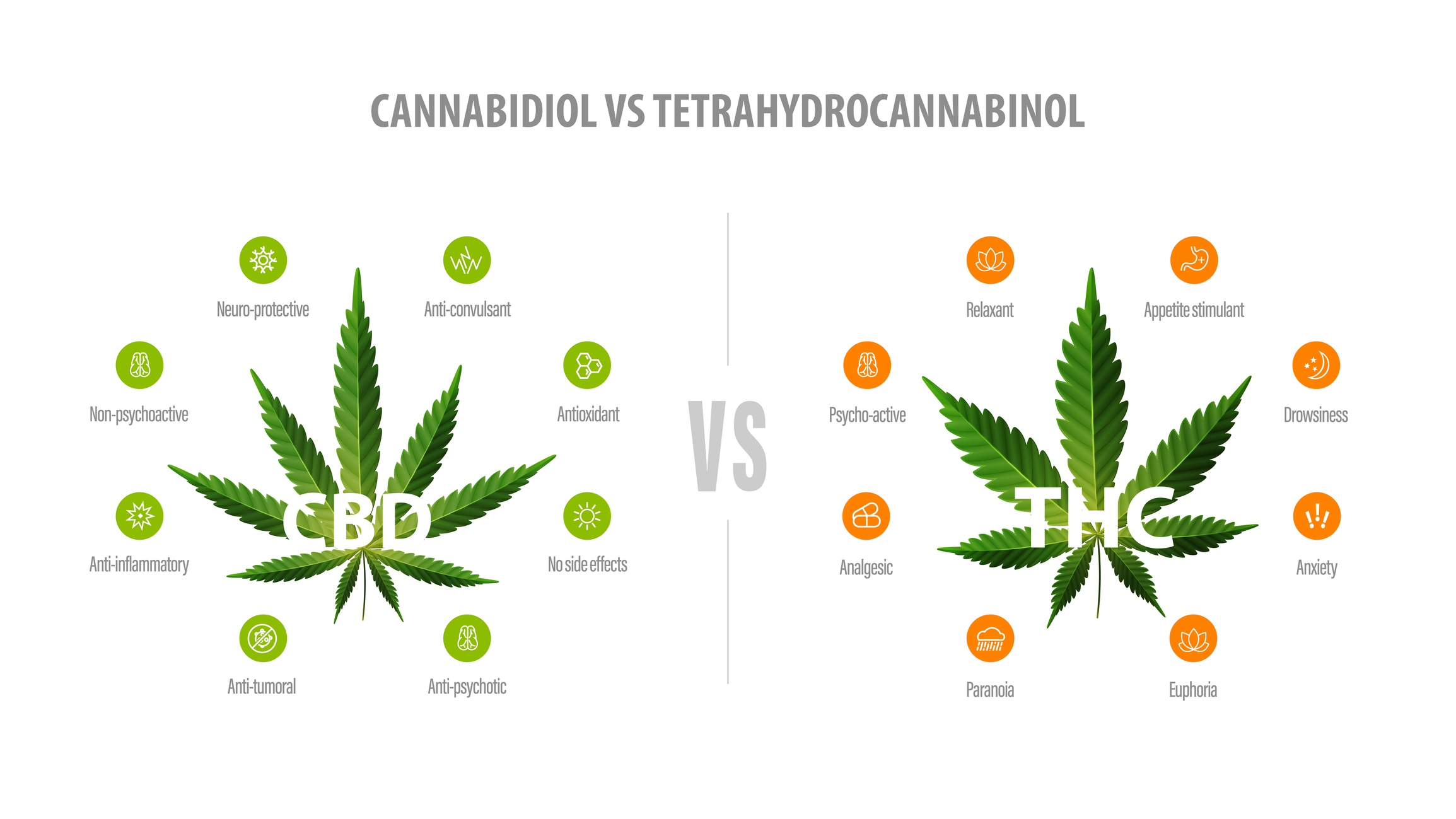 Infographic comparing CBD (cannabidiol) and THC (tetrahydrocannabinol). CBD is shown as non-psychoactive with benefits like anti-inflammatory, neuroprotective, anticonvulsant, antioxidant, antitumoral, and antipsychotic effects. THC is shown as psychoactive with effects such as relaxation, appetite stimulation, analgesia, euphoria, but also risks like drowsiness, anxiety, and paranoia.
