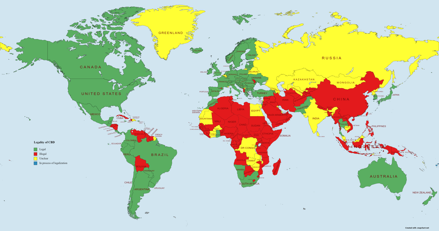 World map showing the legal status of CBD by country in 2025. Countries in green have legalized CBD, red indicates CBD is illegal, yellow marks unclear legal status, and blue highlights nations in the process of legalization.