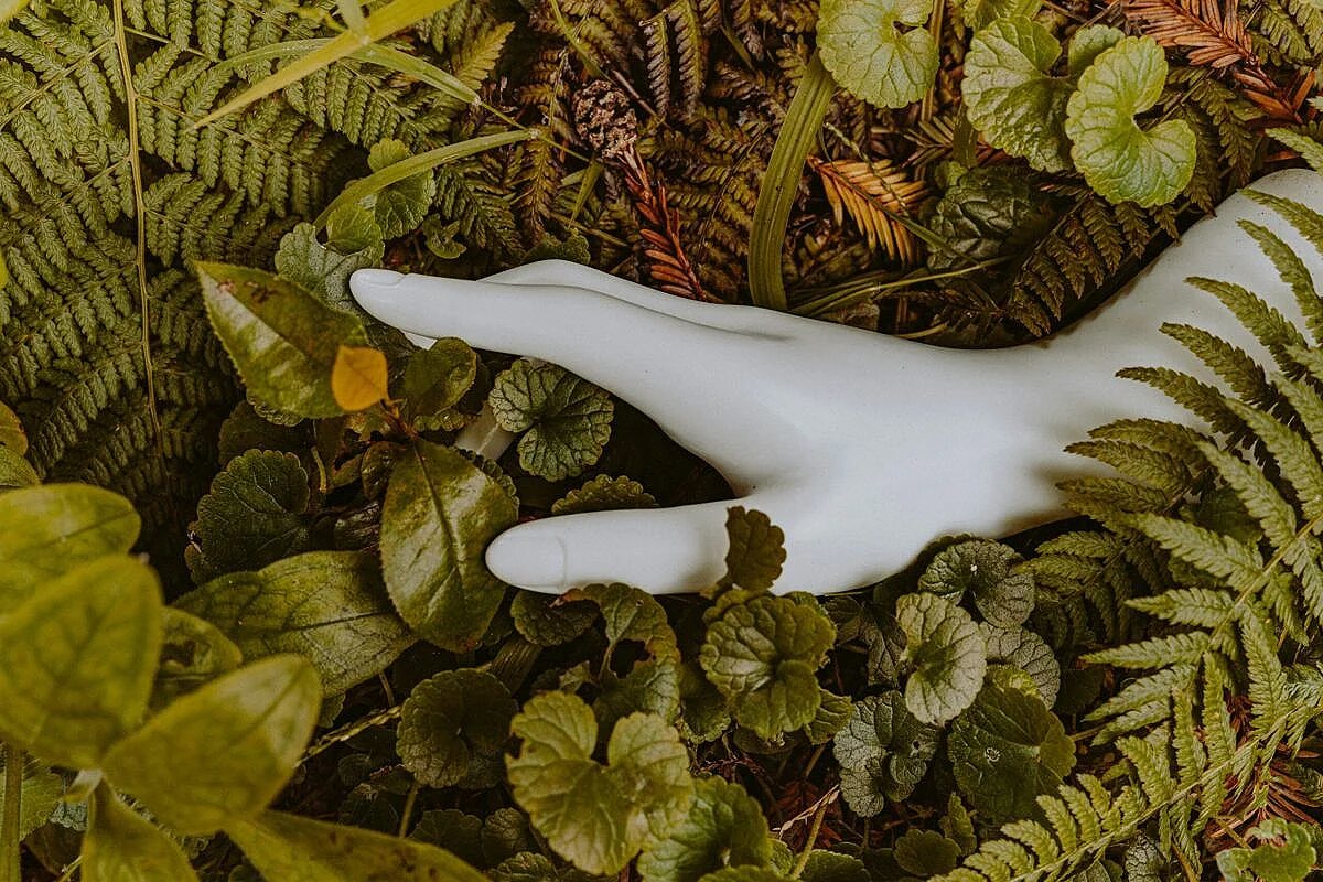 Healing With Nature: How the Outdoors Can Support Mental Health