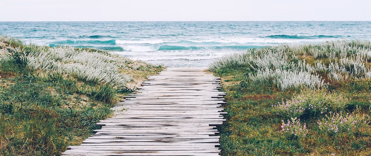 Therapeutic Sitting Service