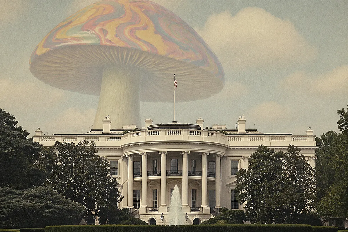 A Deeper Look at the U.S.’ Psychedelic Executive Order