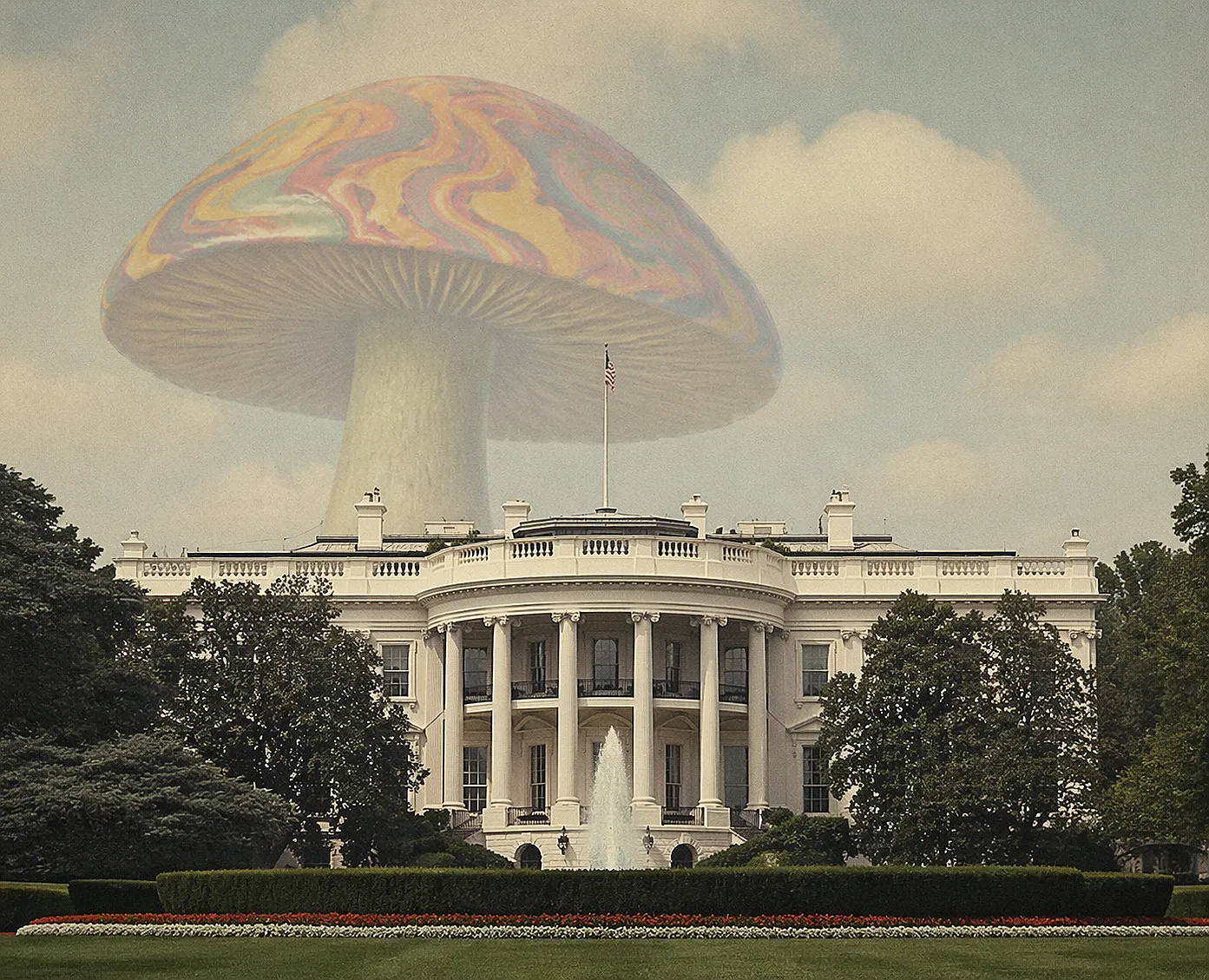 A Deeper Look at the U.S.’ Psychedelic Executive Order