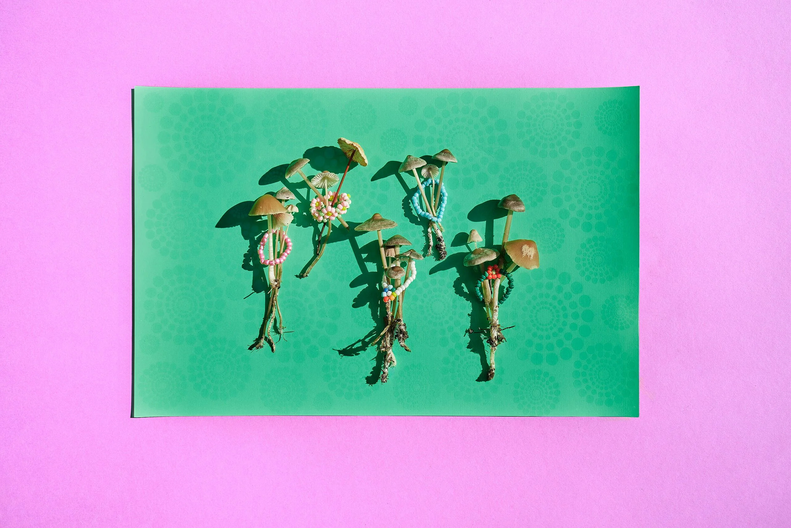 Psilocybin for mental health
