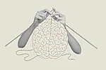 Brain Changes After One Psilocybin Treatment