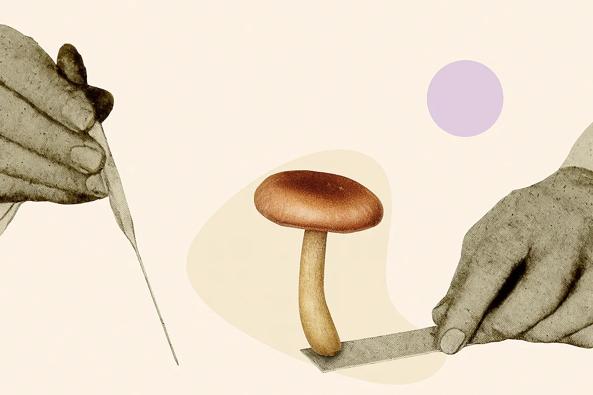 Microdosing FAQ: Theory Meets Practice