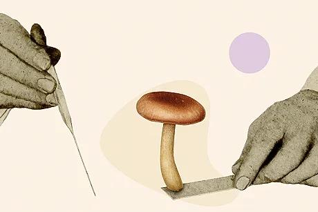microdosing FAQ
