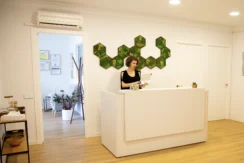 Psychedelic Therapy Clinic Offering Guided Sessions