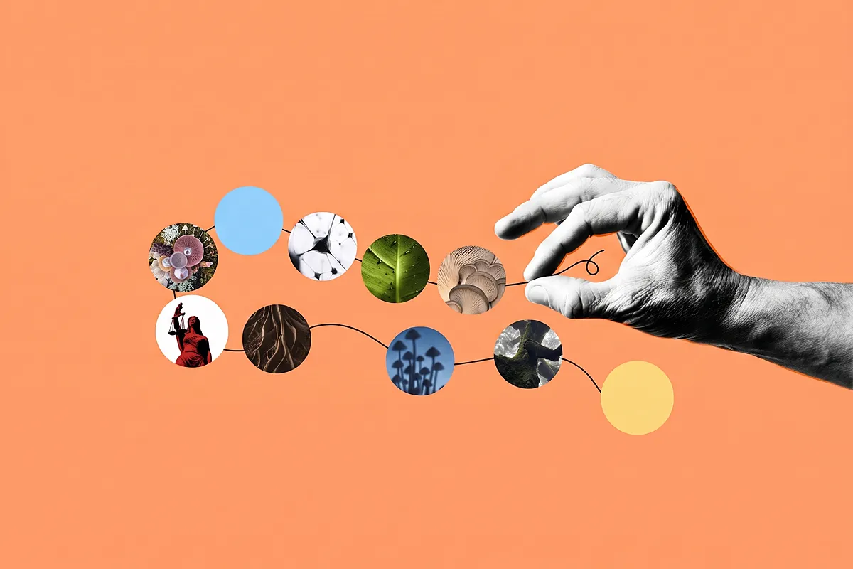 Psychedelic News of the Week