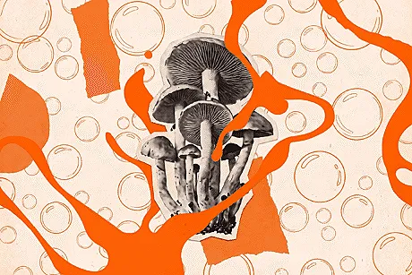 psychedelic news